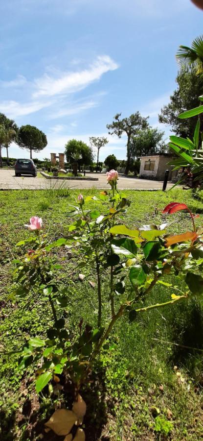 Masseria San Nicola B&B Торре-Санта-Сузанна Екстер'єр фото